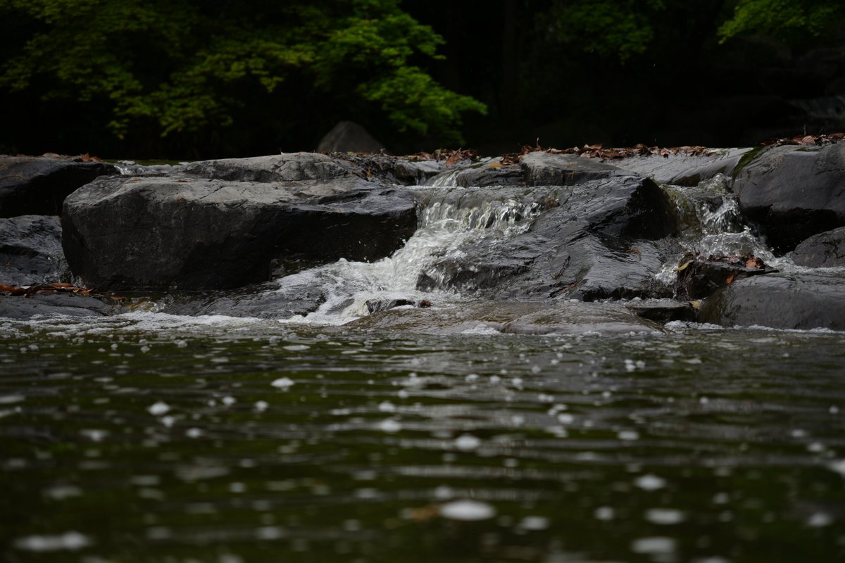 公園内の激しさ

SONY α6700
SIGMA 18-50mm F2.8 DC DN Contemporary
#カメラ #写真撮影 #α6700
#カメラ好き #写真好きな人と繋がりたい
#カメラ初心者 #photoalbum #photogallery
#タロイモしゃしんぎゃらりー