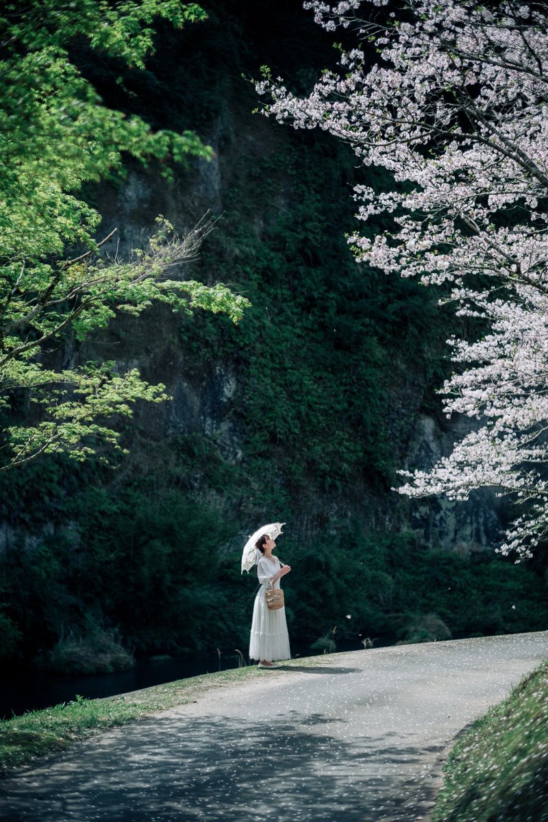 桜から、新緑の季節へ。