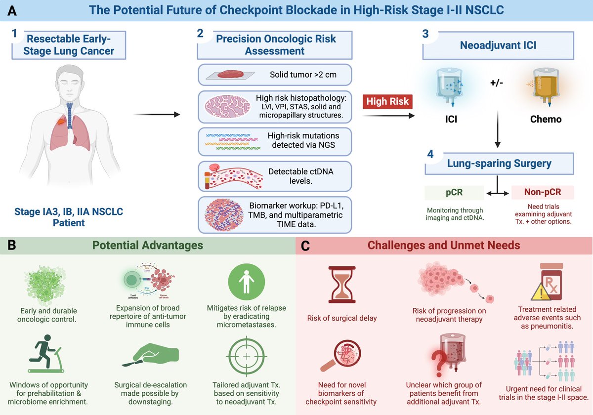 If you're interested in the current evidence and future directions of periop. IO in node-neg. NSCLC, check out our teams review in @annalsthorsurg #lcsm Grateful for the opportunity to write w/ @DoctorJSpicer, Dr. Valerie Rusch, and Dr. Peter Kneuertz! sciencedirect.com/science/articl…