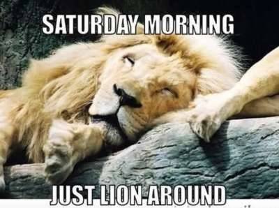 gary37h's tweet photo. Good Saturday morning Patriots! 🇺🇸 Love the sound of that, wish I could say that every morning. 😃 I hope your day is full of fun or relaxation. If you're working, enjoy your weekend when it's done. Just be safe! 🙏☕☀️👍😁 https://t.co/YqDQcsjQYv