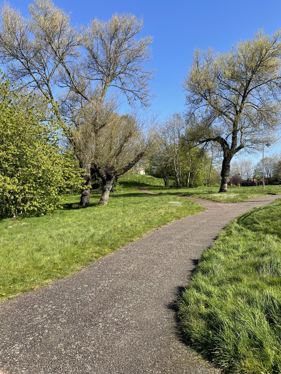 HelenHarvey2018's tweet photo. Does it get any better? Kingston Hill Park, Bordesley. 🐦⬛🌞and litter picking at 19:30 followed by a cuppa ♥️#bosf https://t.co/25Y9oebUIk