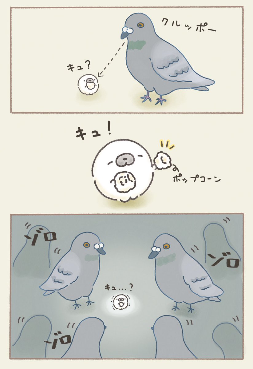 鳩 
