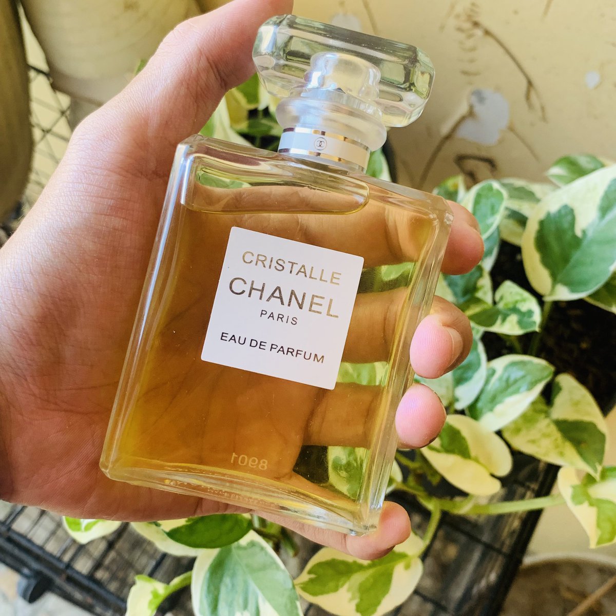 SayuriAdam's tweet photo. Nice things 💕 Scent for this summer ☀️ #CHANEL https://t.co/IcqkDbqqAs