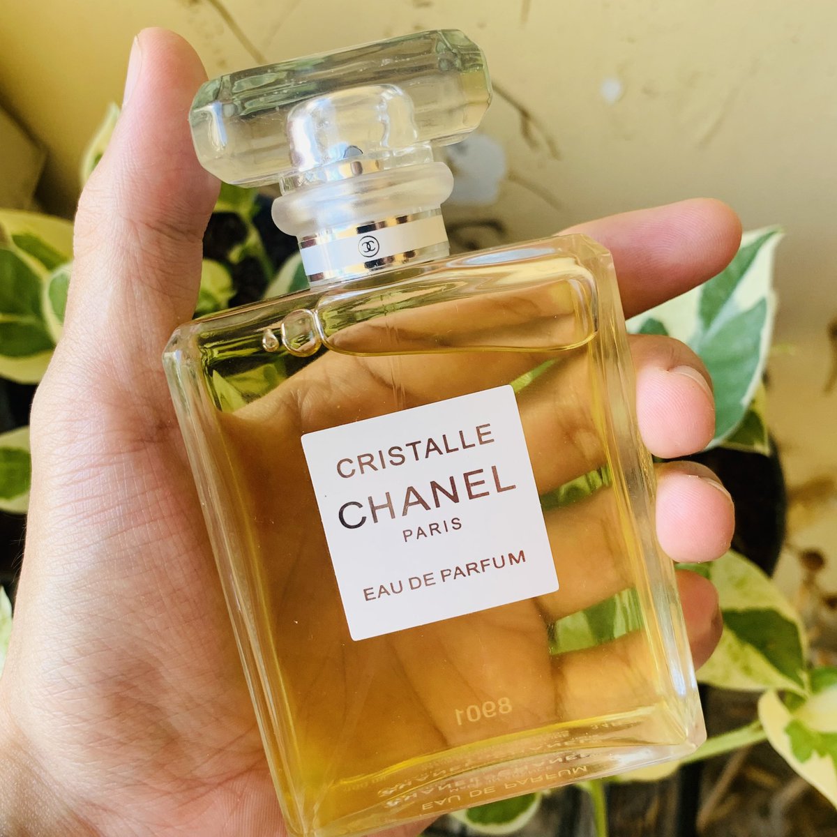 SayuriAdam's tweet photo. Nice things 💕 Scent for this summer ☀️ #CHANEL https://t.co/IcqkDbqqAs