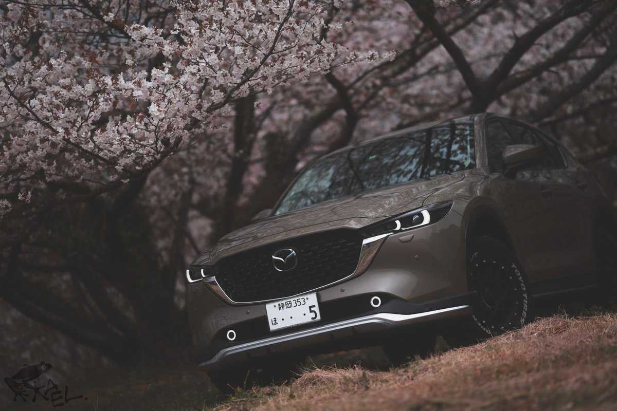 え、桜写真飽きた？俺もだよ！まだ残ってんだよ！

#cx5 #withmazda