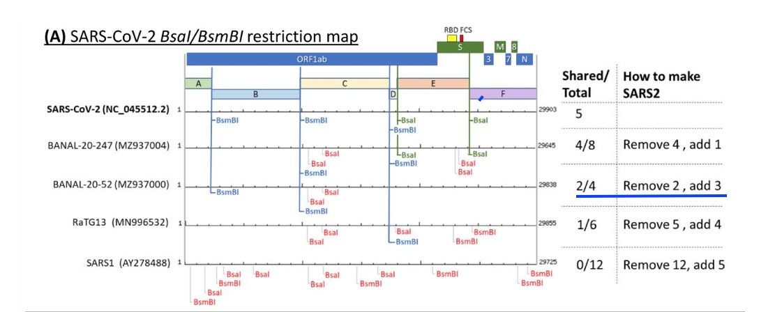 Isn't this a minor mistake, @tony_vandongen, @vbruttel and @Washburne?

Shouldn't it be 'shared 3' and 'total 5'? And then 'Remove 2' and 'add 2' (The two BsaI restriction sites).

I checked all versions as far as I can see, and it's the same in all of them, both the versions on…