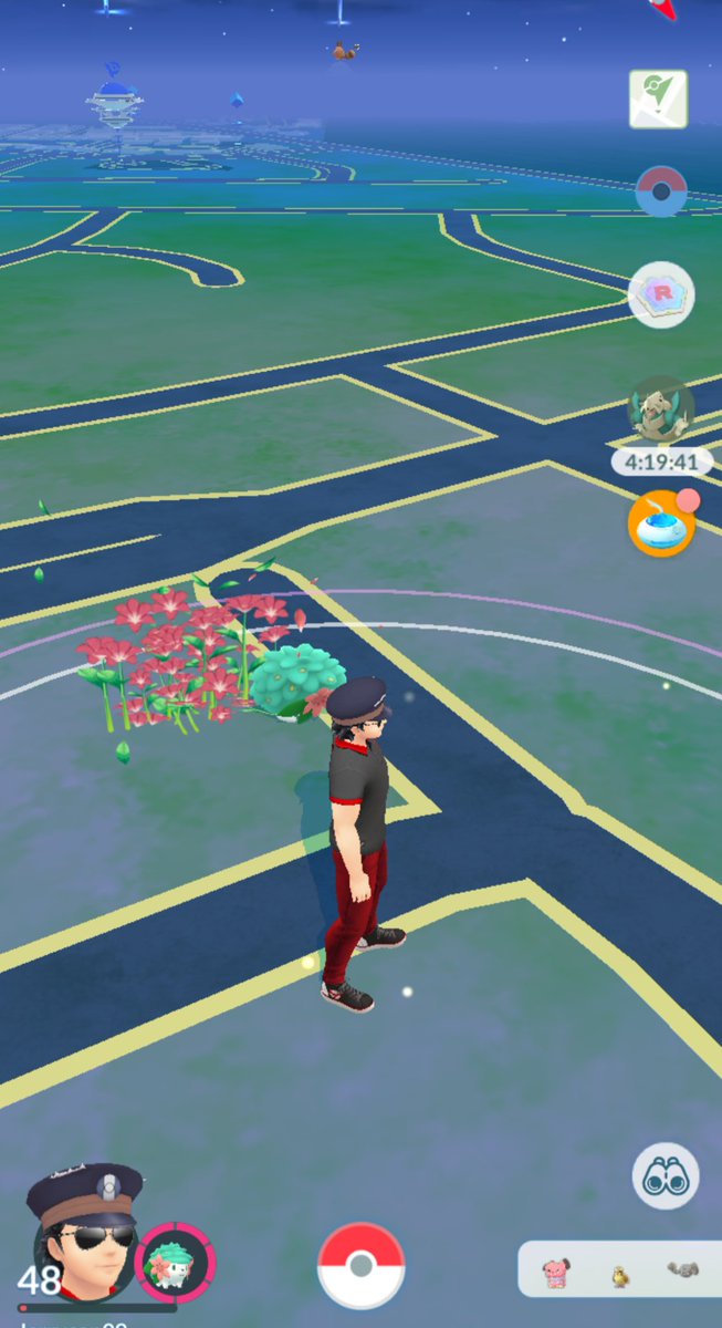 When shaymin is your buddy and it walks around, a field of flowers spawns around it..