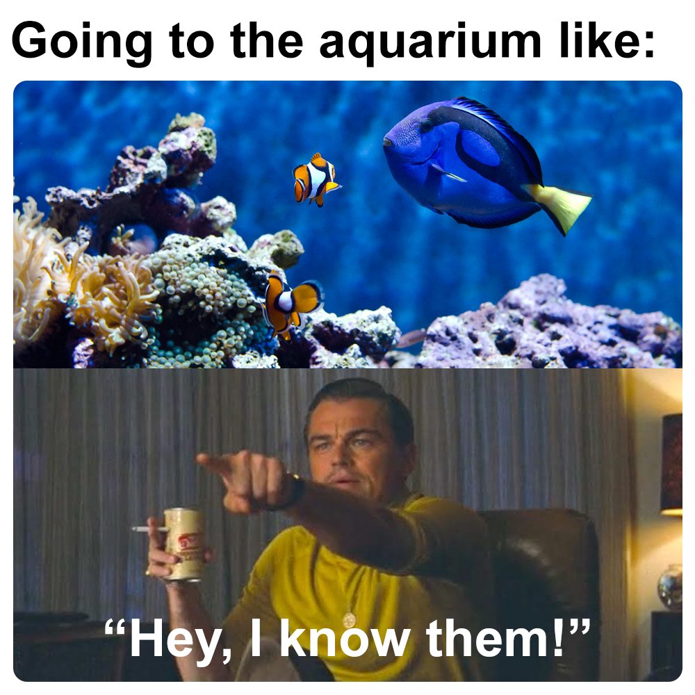 Say their name, I know you want to. 😌

#zingpopculture #zingpop #popculture #disneymemes #findingnemo #nemo #funnymemes #relatablememes