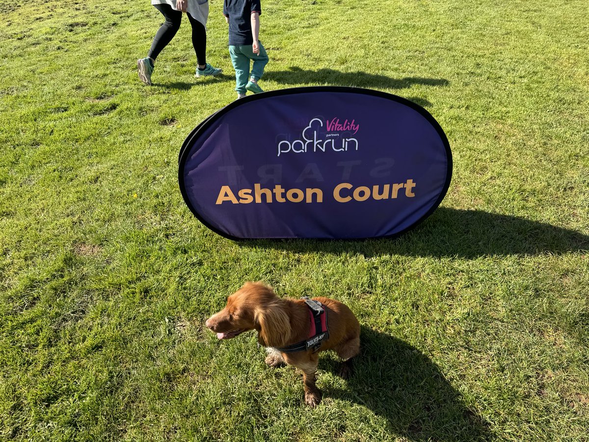 john_gleave's tweet photo. Another ⁦@parkrunUK⁩ ⁦@ashtonctparkrun⁩ for 2 and 4 legs - 4 legs now catching some rays… https://t.co/8Jzg53Fbn9
