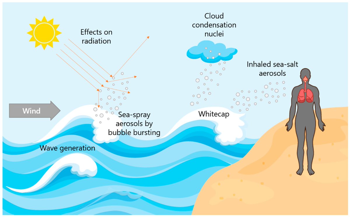 😧 Scientists found #PFAS levels in sea spray 100s × 1000s times higher than in the water & they can travel 1000s of kms in the air before landing. These #ForeverChemicals are linked to many serious illnesses such as cancer, kidney & liver problems, birth defects & lower immunity