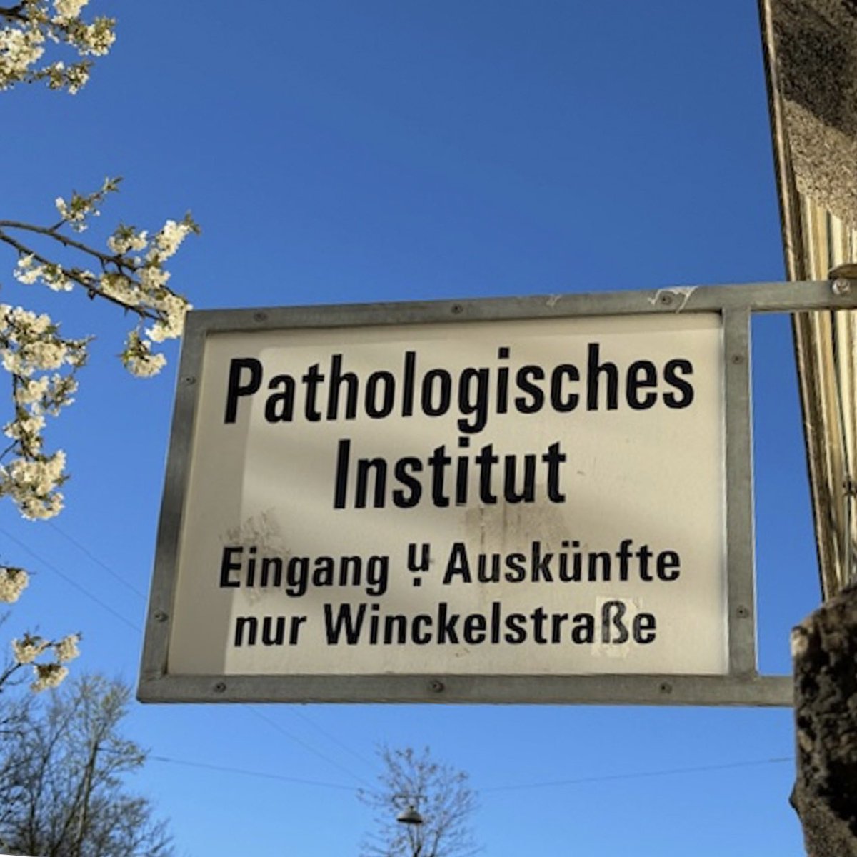 #lynchtalk Pathologie: Shine a Light on Pathology - der hidden champion in der
Medizin. Heute auf Instagram @lynchsyndrom mit Prof. Jens Neumann @LMU_Muenchen 👉@DKG_Berlin @DKFZ @AIO_Onkologie @Krebshilfe_Bonn @XgegenKrebs 👨‍⚕️@RHuneburg @alinkmd @DrVilzi @jnkath