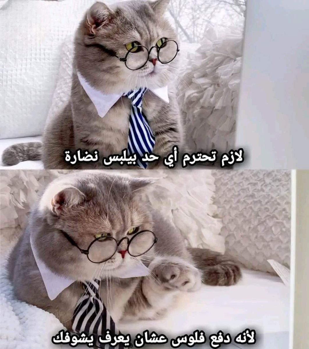 i meme it (@egymeme11) on Twitter photo 