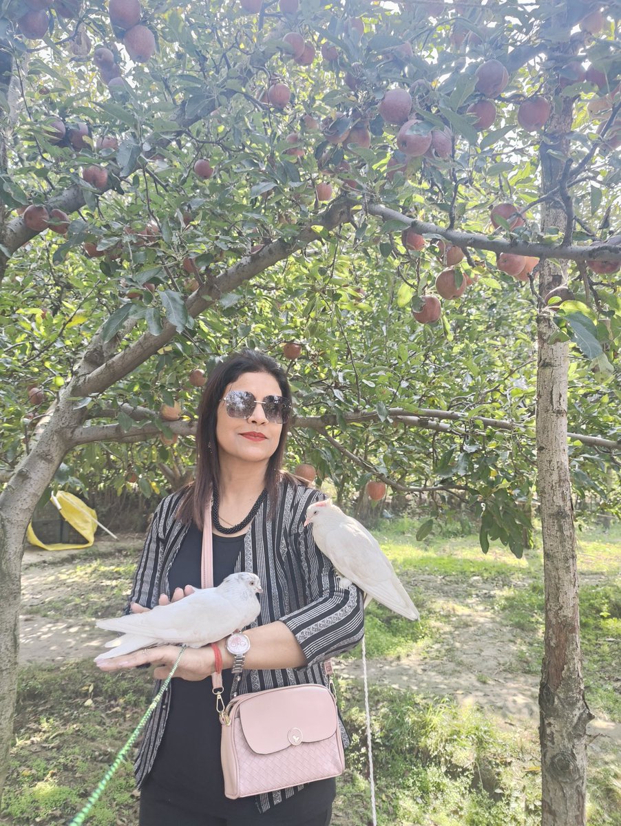 #कश्मीर
#applegarden 
#naturelove