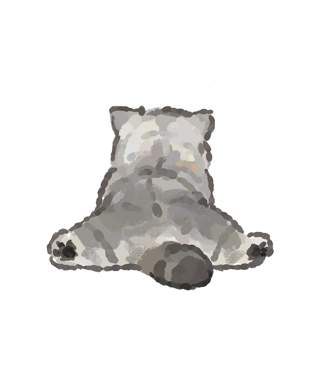 gentleeeeeeecat tweet picture