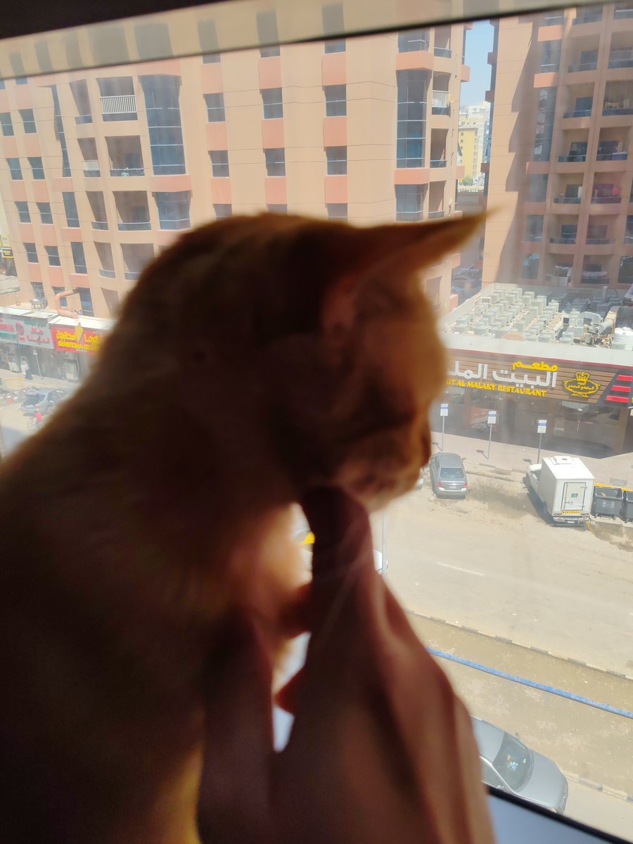 Kc_Mark88's tweet photo. Finally home🏡😻 https://t.co/qyKBzwyuea
