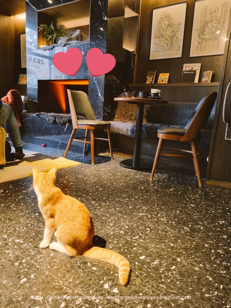Spend some time relaxing with the #cats on your next #fika? dontforgetyoursnacks.blogspot.com/2023/02/java-w… #coffee #CoffeeTime #Travel #Caturday #cat #catcafe #adoptacat #javawhiskers #Stockholm #Sweden #Swedish  @visitstockholm