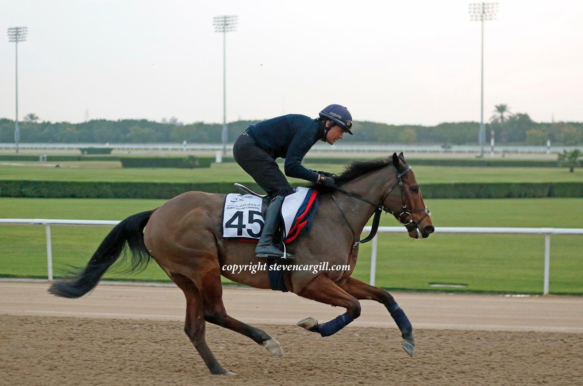 Horse focus: EQUALITY A G3 winner and G1 placed 6yo sprinter EQUALITY has an OR of 105 He has run in 🇮🇪, 🇬🇧 and 🇦🇪 and taken his partners on some fantastic adventures He will line up this Sunday for his UK turf season reappearance @cbhills 🔵🔴⚪️