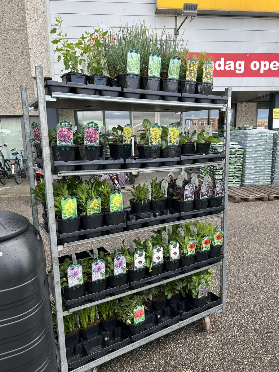 Van grijs naar groen! 🌳

Tot 16.00 kun je op het Polplein in Zutphen een tegel inleveren voor een plant. Zo maken wij samen Zutphen een beetje groener.