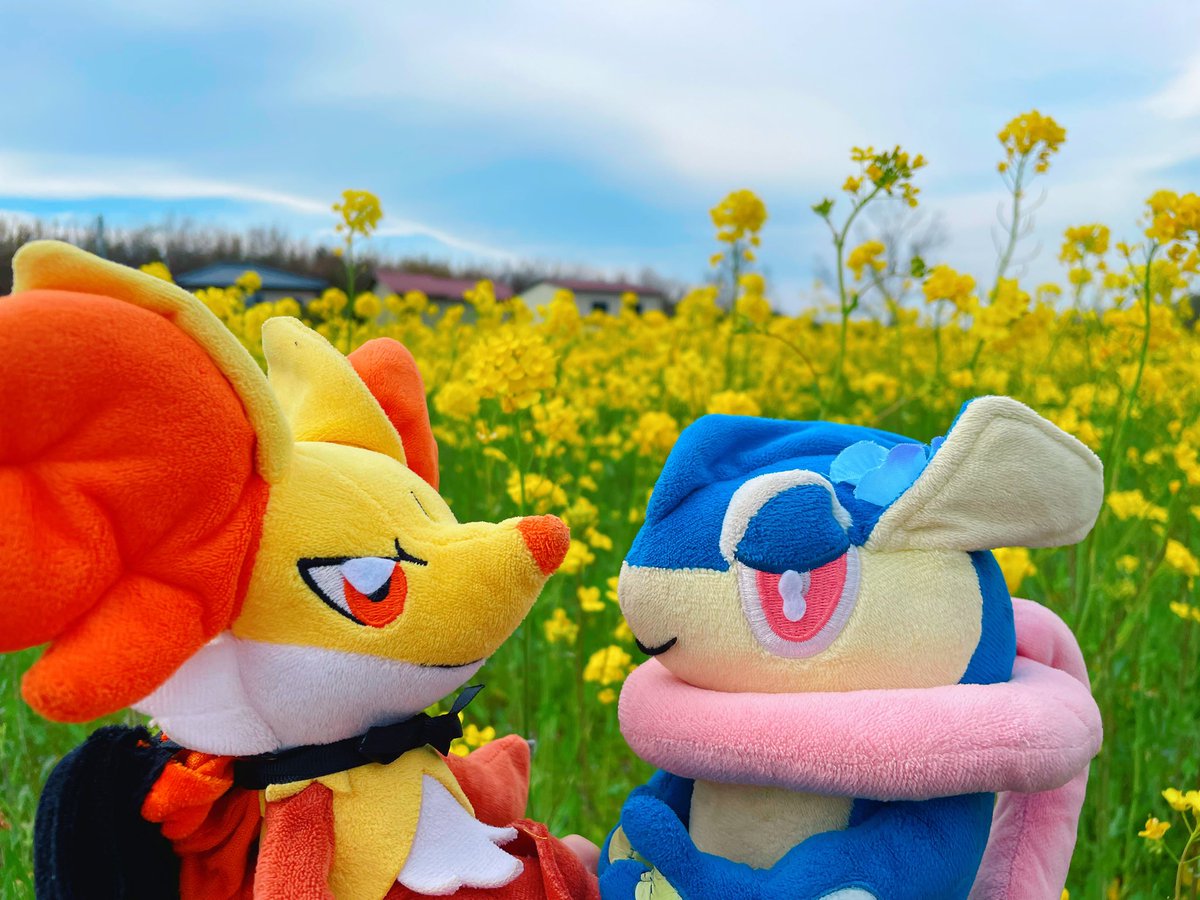 _431642's tweet photo. 💕🦊🐸春を満喫するタルチチ https://t.co/uwc4EMk4gL