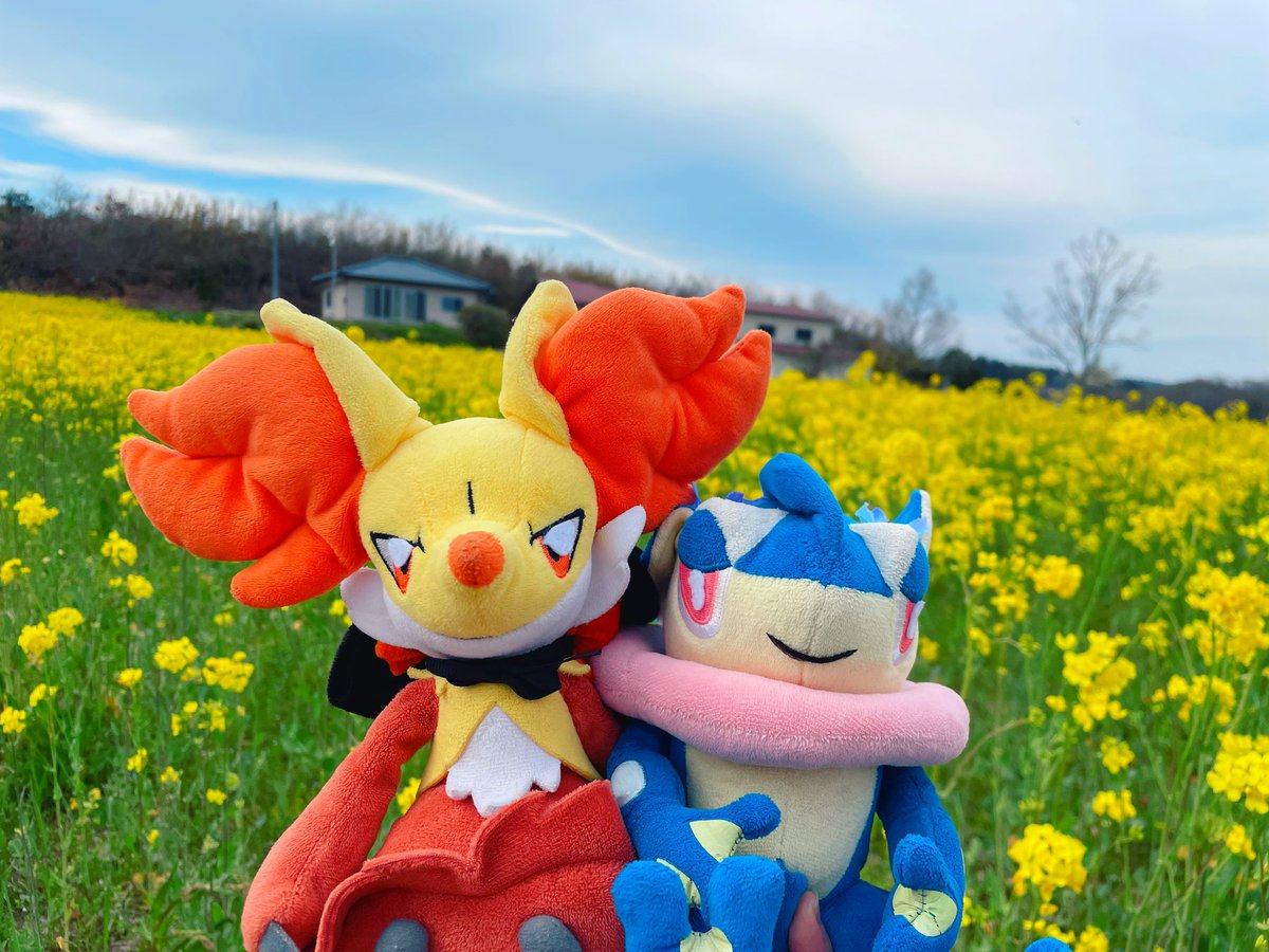 _431642's tweet photo. 💕🦊🐸春を満喫するタルチチ https://t.co/uwc4EMk4gL