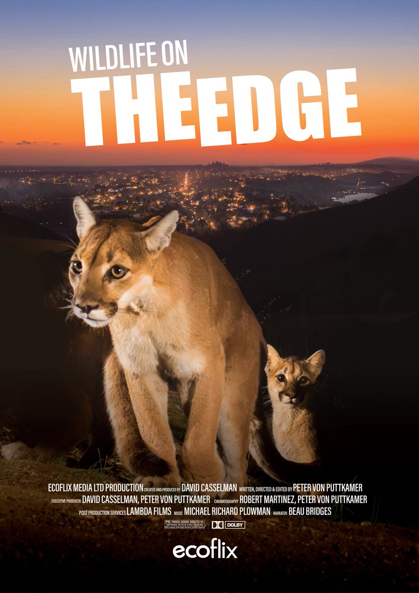 Did you know that you can watch amazing wildlife documentaries AND support us at the same time? 🎥The latest Ecoflix Original, Wildlife on the Edge, premiered yesterday! What are you waiting for?! 😱