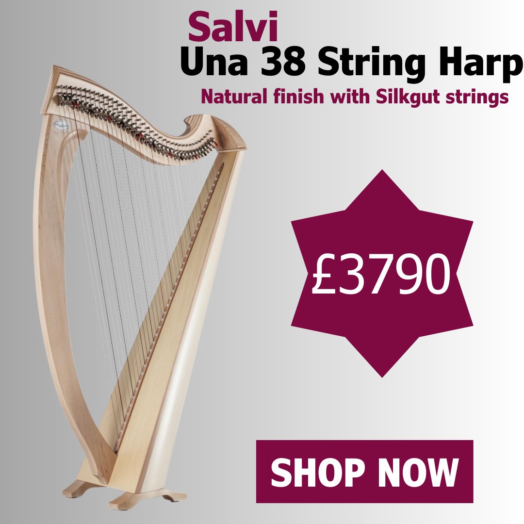 The Una from Salvi is an excellent professional lever harp suited to both intermediate and more advanced players. It is lightweight and portable making it an ideal travelling instrument.

earlymusicshop.com/products/una-3…

#EarlyMusicShop #Harps #Harp #SalviHarps