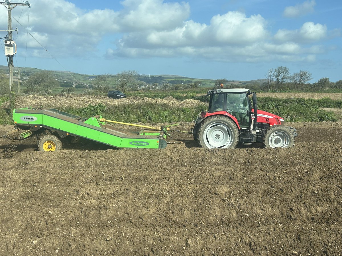 Matthew Collins ==🚜🥔🥬🌾 tweet media