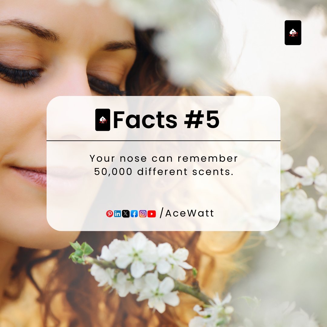 🚀 Ace Watt ⚡ Facts No 5️⃣

⏩ 🚀 Facts 🔥

🚀 #acewatt #fact #facts #factsdaily #dailyfacts #coolfacts #funfacts #sciencefacts #amazingfacts #bigfacts #unknownfacts