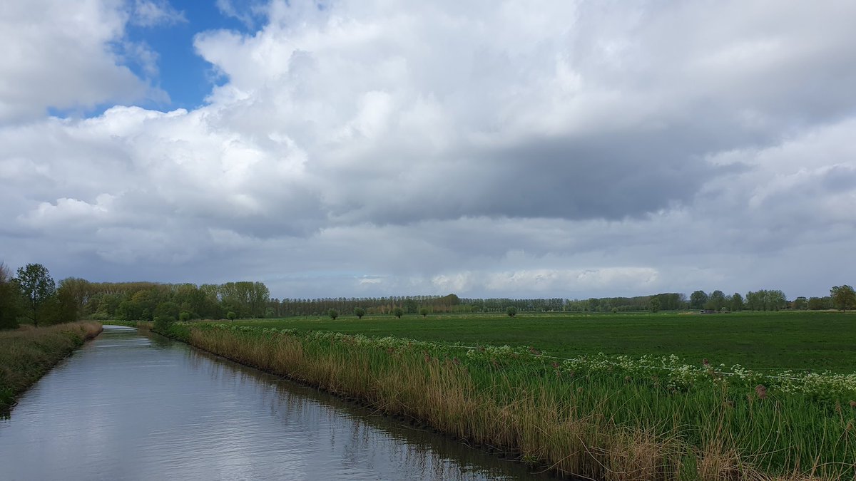 j_winne's tweet photo. Sinaai 11.45 u. #vrtweer https://t.co/Yze1BZiJfK