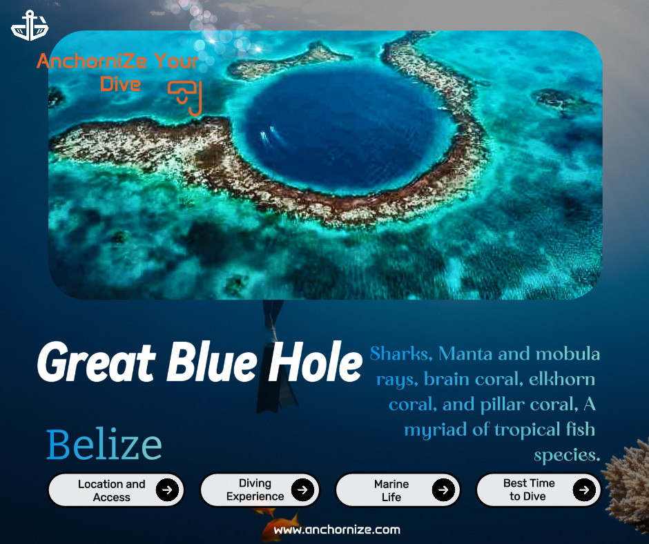 AnchorBms's tweet photo. Plunge into Belize's Great Blue Hole, a top dive site charted by Cousteau. Encounter sharks, corals, and tropical fish in this UNESCO-listed marine wonder. 🦈🌊 #GreatBlueHole #DiveBelize

Dive in with https://t.co/dj5oLdaLdl #anchornize #anchornizeyourdive https://t.co/2QDMD382zP