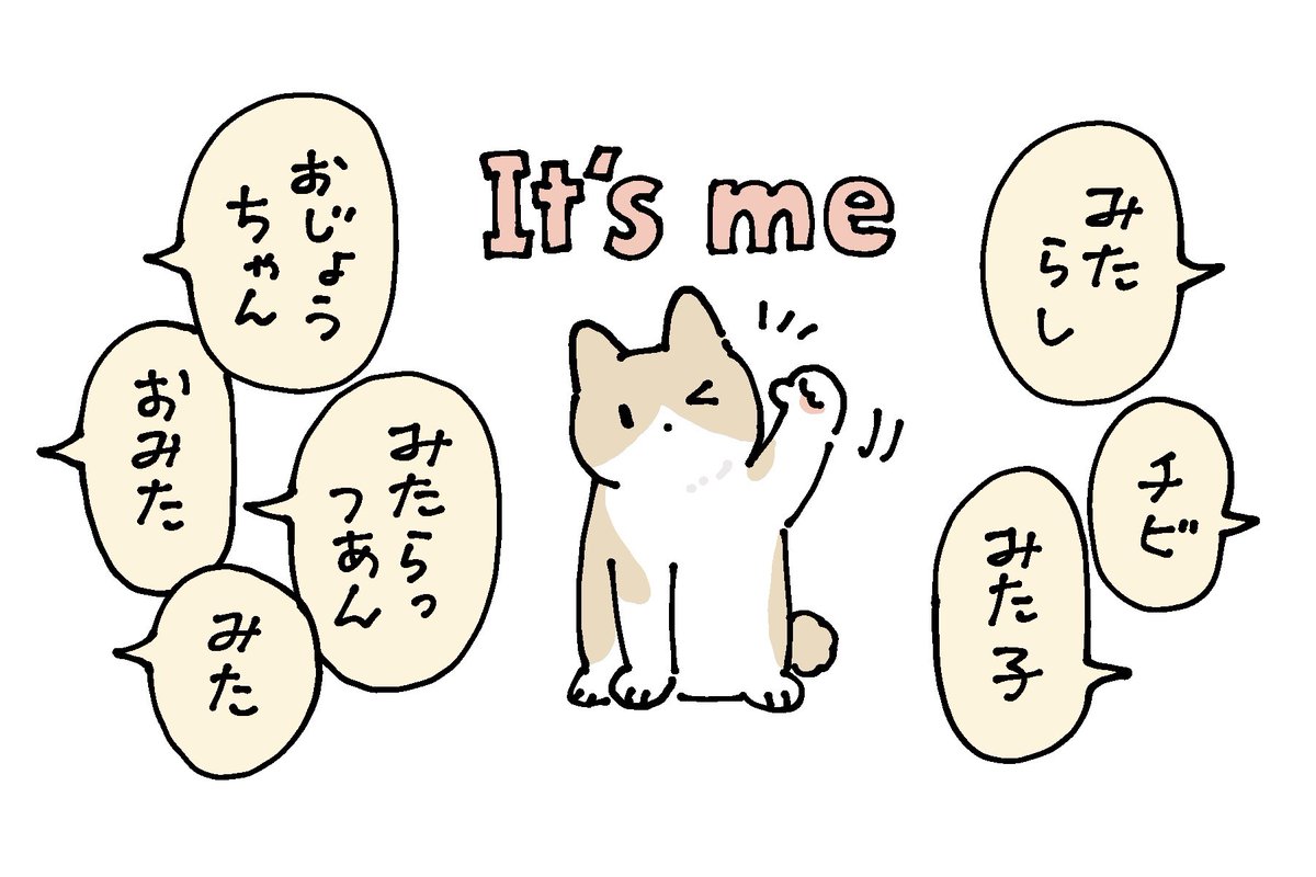 「みたらっつぁーん」て呼んだら、みたらしが曲がり角の先からヒョコ!と出てきて、そのままトコトコ小走りでやって来て腕の中にすっぽり入ってくれた
ねこもちゃんと自分のあだ名がわかってるの、すごいよね あとかいぬしはいっぱいあだ名つけがちだよね 