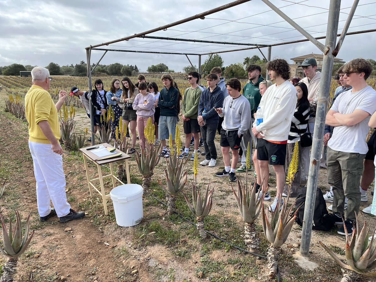 The end of another fantastic geography week in Mallorca! <a href="/UWE_GEM/">UWE GEM</a>