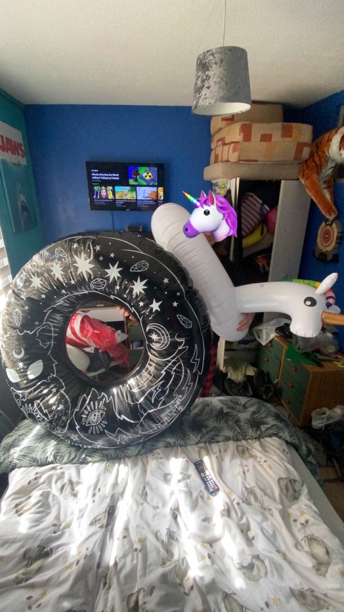 xomeggsy's tweet photo. shadow and star are enjoying their attention at the moment, such cute, big and bouncy rings for this #squeakysaturday 🦄🖤🐱#inflatables #inflatablering #squeaky https://t.co/yfzv94Q49J