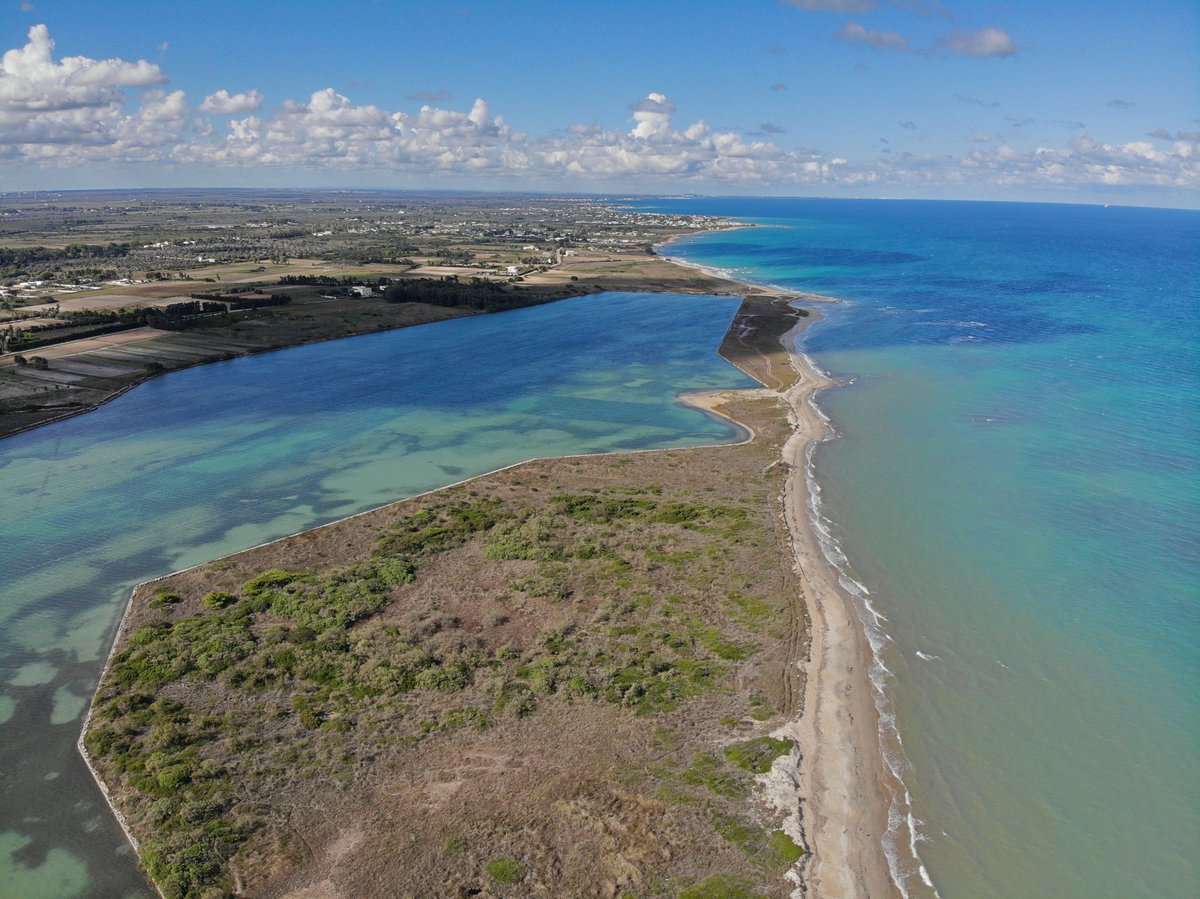 PRO_C0ast's tweet photo. Abandonment is threatening to the Natura 2000 protected area of Aquatina di Frigole, in Apulia, Italy
#pro_coast #biotope #aquatina #apulia #biodiversity #natura2000 #naturalbasedsolutions #fauna #citizenscience #coastalecosystems #sustainability #societaltransformation https://t.co/o8aBoK4JIy