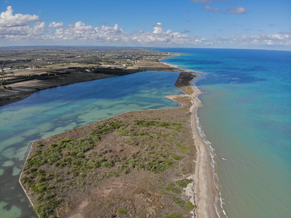 Abandonment is threatening to the Natura 2000 protected area of Aquatina di Frigole, in Apulia, Italy
#pro_coast #biotope #aquatina #apulia #biodiversity #natura2000 #naturalbasedsolutions #fauna #citizenscience #coastalecosystems  #sustainability #societaltransformation