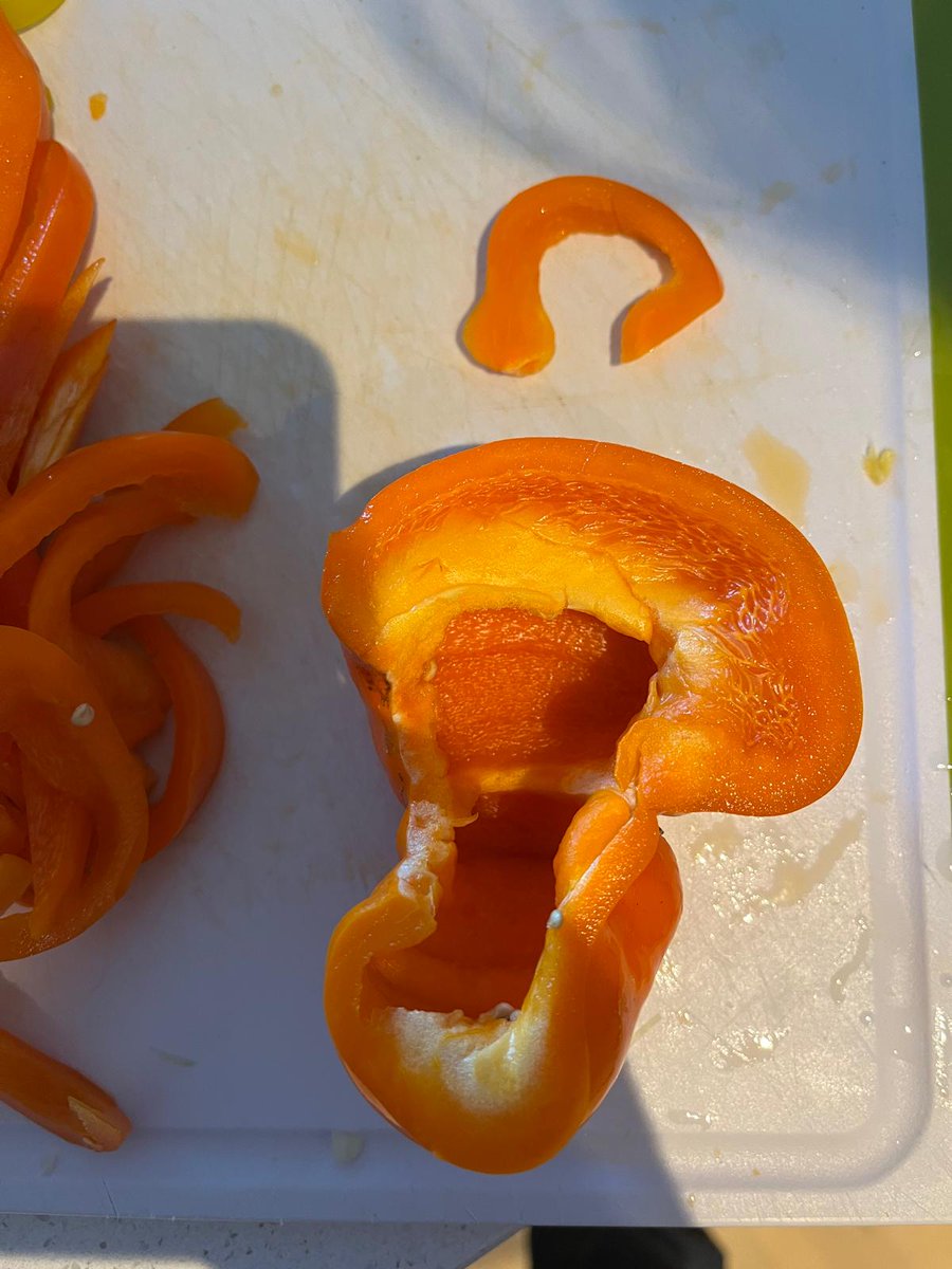 Hippocampus spotted! 🧠