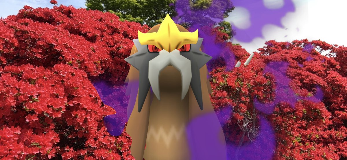 tatan222's tweet image. #GOsnapshot #ARofTheDay 
#entei 
📍長岡天満宮