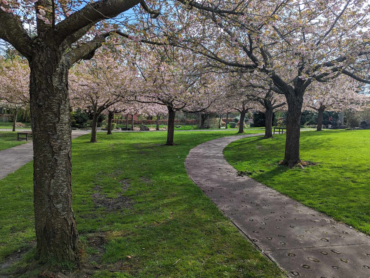 What a day to celebrate the first day of our Japanese Blossom Festival at Lauriston Castle.

Here's all you need to know about events over 4 days under our enchanting blossom.... 

🌸🌸🌸🌸
edinburghmuseums.org.uk/japan-sakura-l…  #BlossomWatch #blossom #Edinburgh