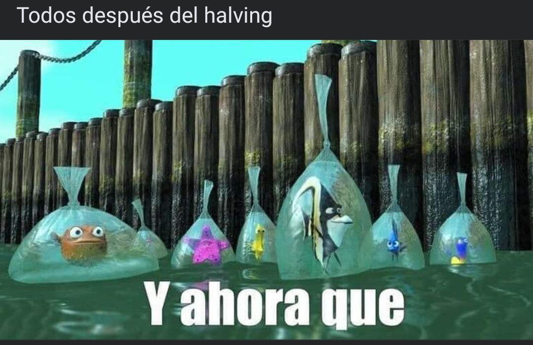 Felicidades! Ya puedes decir que viviste un halving de #Bitcoin