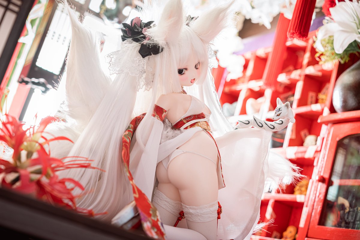 Haku1923's tweet photo. 神々しいシロコ様の色仕掛け🦊
#NGworkshop
#ぐるっ子 
#MDDはいいぞ https://t.co/L5onMizpTS