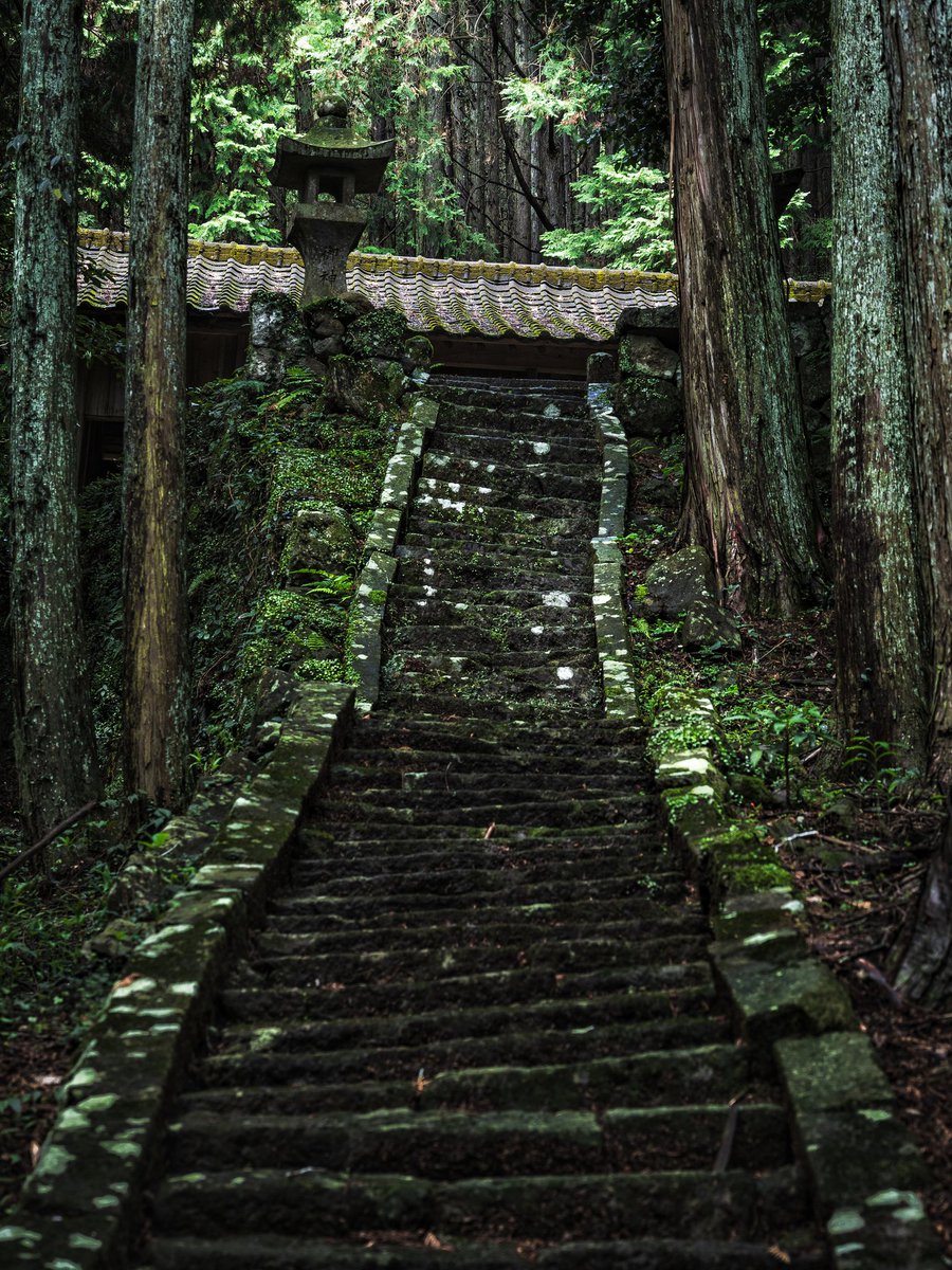 ぐにゃり。