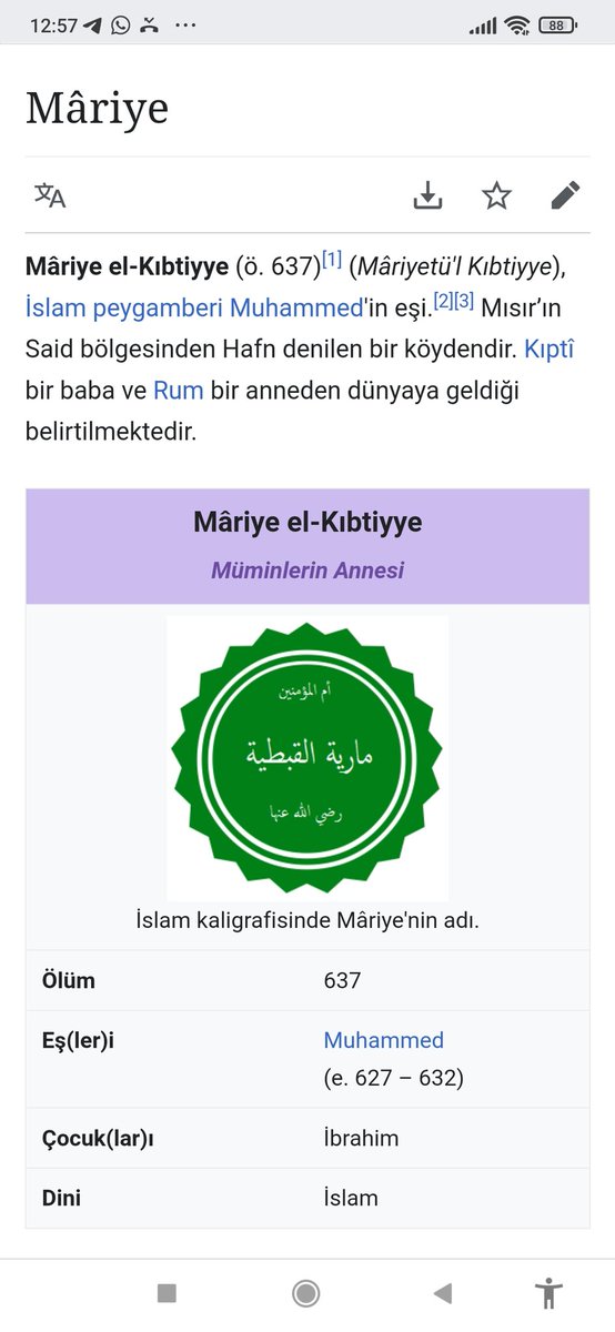 @azimli_mehmet Mariye geldiğinde zaten hamileydi!