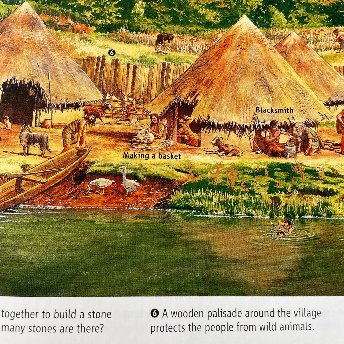 sci_challenge's tweet image. Ah, palisade cells mean a little bit more now…