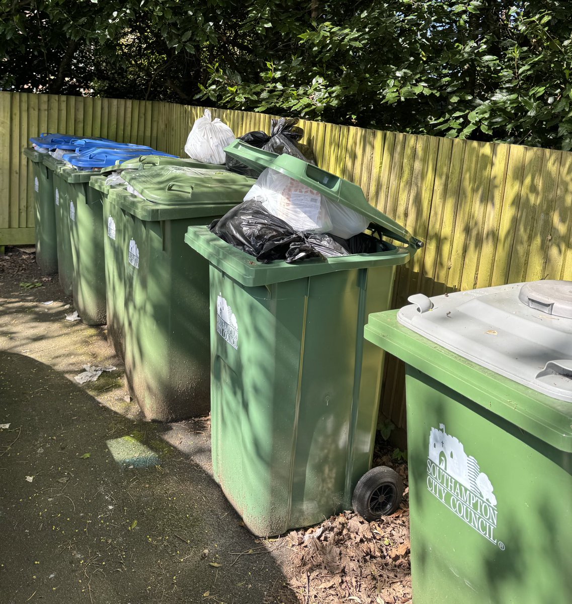 Out in sunny Bassett this morning but residents very unhappy with erratic bin collections and failure by Southampton City Council to resolve issues.