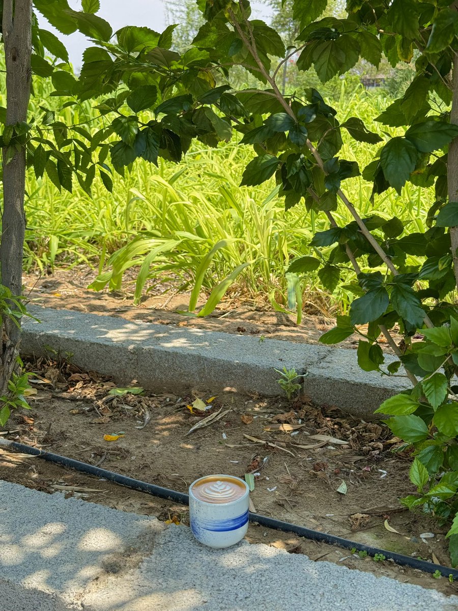tss_95's tweet photo. قهوة بين احضان الطبيعة 🌿. https://t.co/K6gd0D9rUX