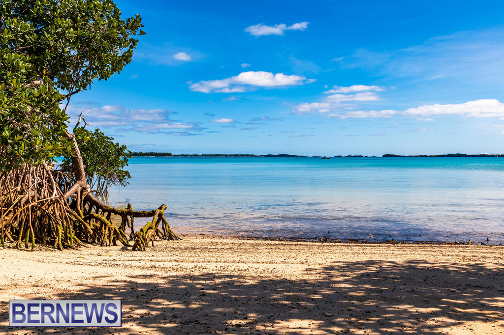 A sunny day in the east end #Bermuda #ForeverBermuda Bernews.com