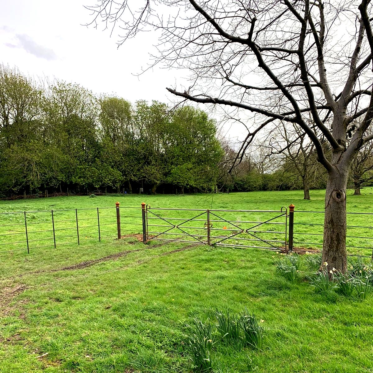 Quadrant field gates in Lincolnshire. Left to rust naturally the fence and gate will blend beautifully with the naturally woodland surroundings. 

It will be great to see how it is looking in the future once fully rusted.

#fence
#gate
#rustnaturally
#rustonly
#thetraditionalco