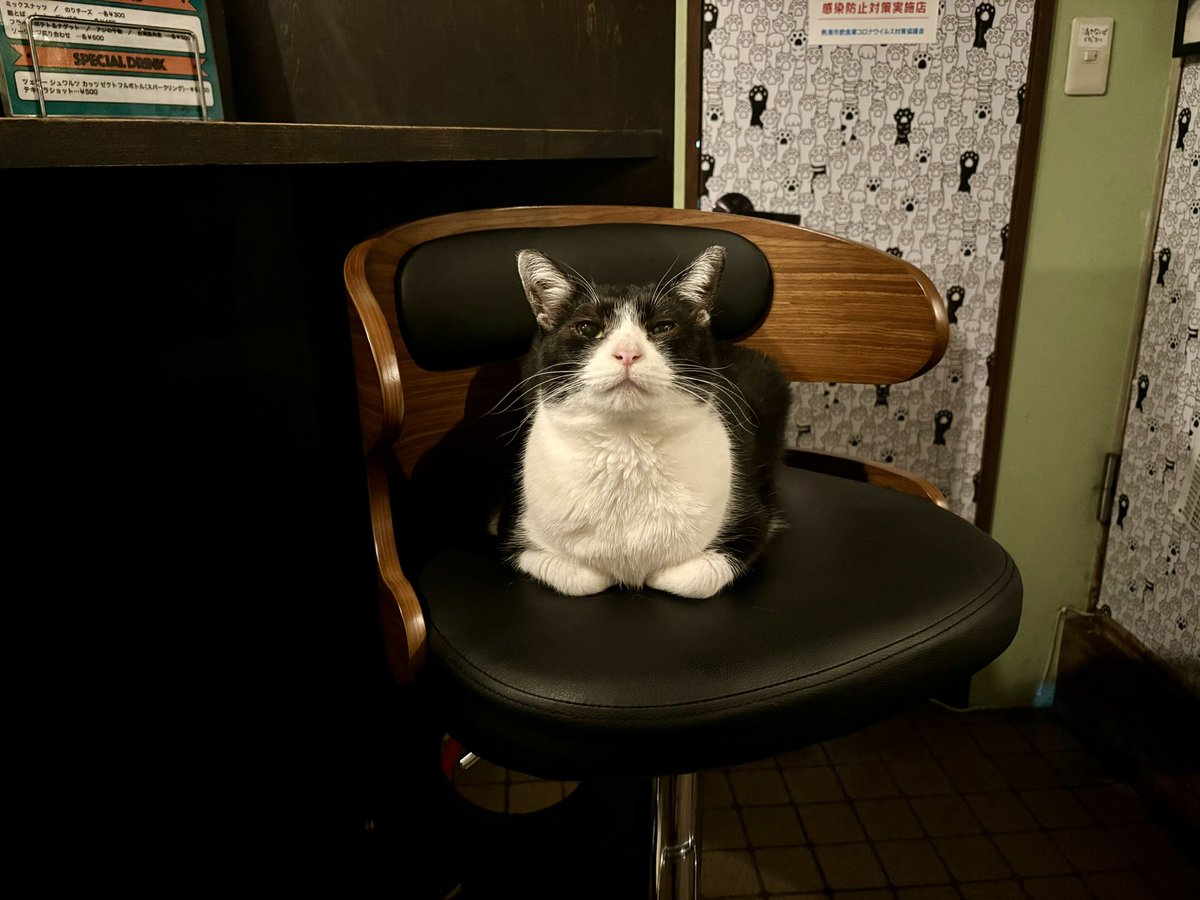 Muddy Cat開店でーす
#熱海MuddyCat #熱海 #BAR #猫