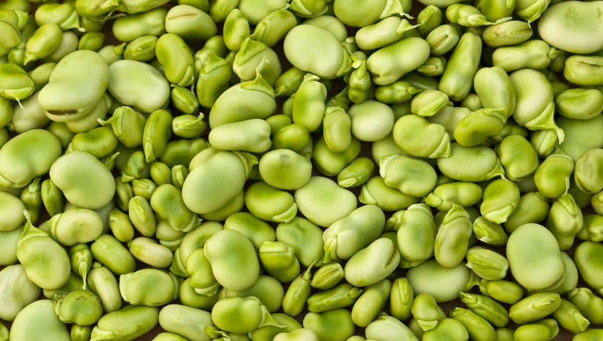 Happy #Limabeanrespectday! Also called butterbeans, these delicious legumes are a popular side dish. They’re also great in soups and stews, and they’re packed with vitamins and minerals! #healthyeating #limabeans #butterbeans