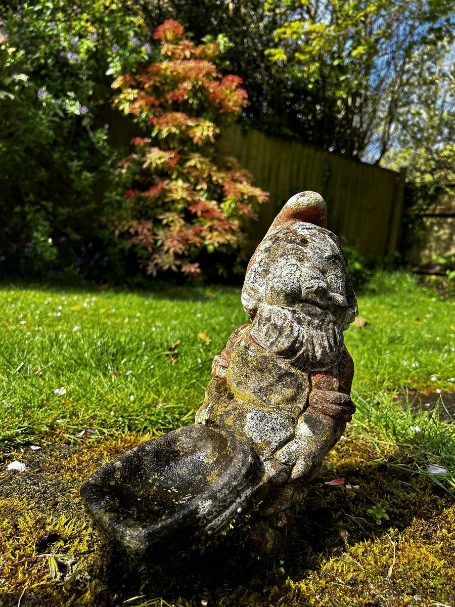 Garden gnome from Cornwall many moons ago. #GardingTwitter  #gardenersworld  #gnome #gardengnome #Cornwall